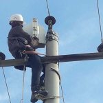 Preventing raptor electrocution at power lines in Mongolia