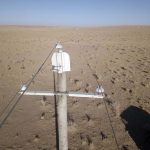 Preventing raptor electrocution at power lines in Mongolia