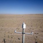 Preventing raptor electrocution at power lines in Mongolia