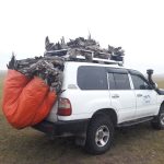 Preventing raptor electrocution at power lines in Mongolia