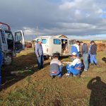 Preventing raptor electrocution at power lines in Mongolia