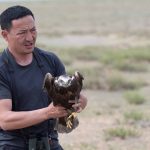 Preventing raptor electrocution at power lines in Mongolia