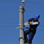 Preventing raptor electrocution at power lines in Mongolia