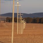 Preventing raptor electrocution at power lines in Mongolia