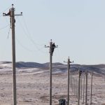 Preventing raptor electrocution at power lines in Mongolia