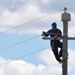 Preventing raptor electrocution at power lines in Mongolia