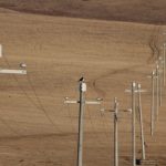 Preventing raptor electrocution at power lines in Mongolia