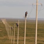 Preventing raptor electrocution at power lines in Mongolia