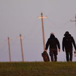 Preventing raptor electrocution at power lines in Mongolia