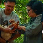 Philippine Eagle Translocation Project