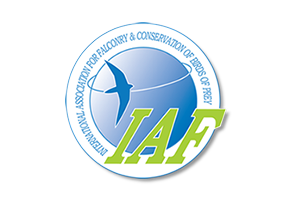 International Association for Falconry and the Conservation of Birds of Prey