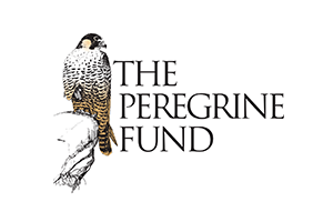 The Peregrine Fund